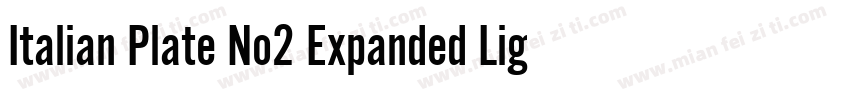 Italian Plate No2 Expanded Light字体转换